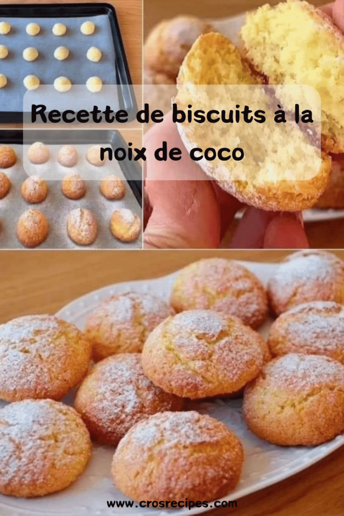 Biscuits à la noix de coco dorés, saupoudrés de sucre glace, sur une assiette.