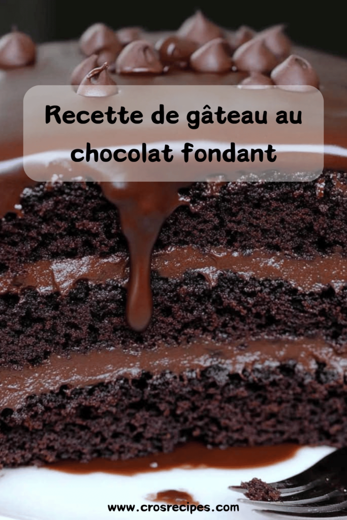 Gâteau au chocolat fondant servi avec des pépites de chocolat et une texture moelleuse au centre.