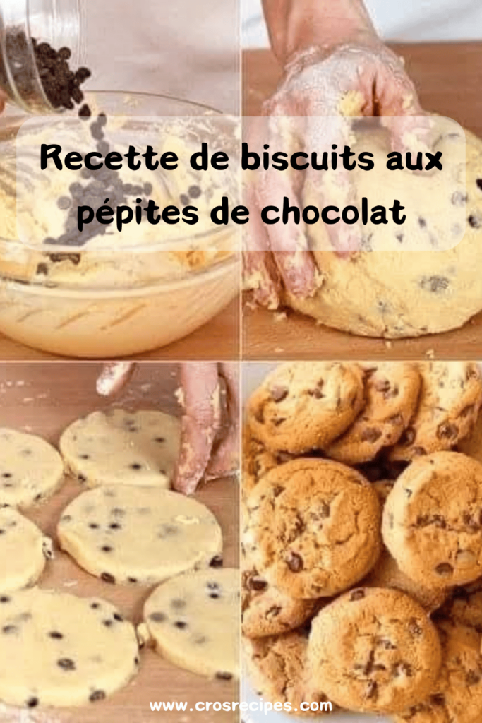 Biscuits aux pépites de chocolat dorés et croustillants, disposés sur une assiette avec des morceaux de chocolat autour.