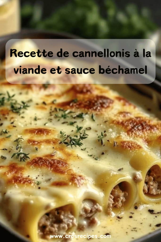 Plat de cannellonis gratinés avec une sauce béchamel crémeuse et du fromage fondu, servi dans un plat à gratin.