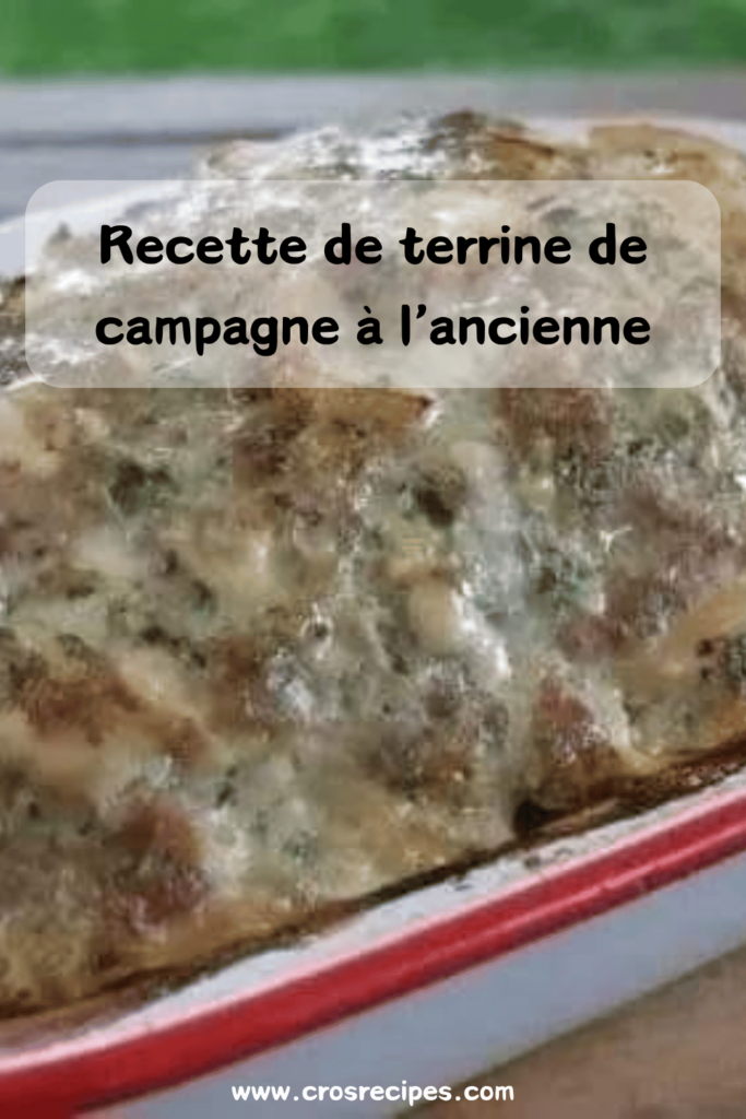 Terrine de campagne maison servie en tranches avec du pain grillé et des cornichons.