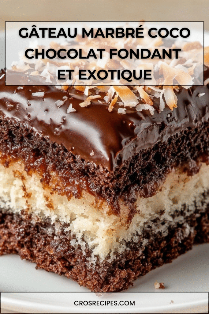 Gâteau marbré chocolat et noix de coco nappé d’un glaçage brillant et décoré de coco grillée.