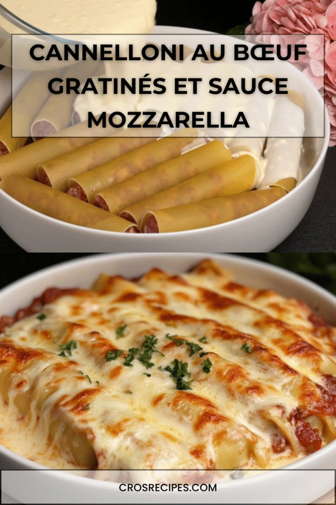 Cannelloni farcis au bœuf gratinés au parmesan avec sauce mozzarella crémeuse dans un plat au four.
