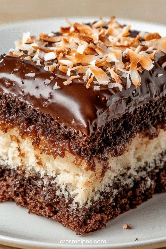 Gâteau marbré chocolat et noix de coco nappé d’un glaçage brillant et décoré de coco grillée.