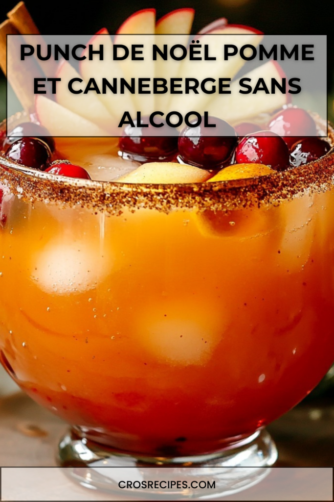 Punch de Noël pomme et canneberge servi frais, garni de fruits rouges, tranches de pomme et bâton de cannelle.