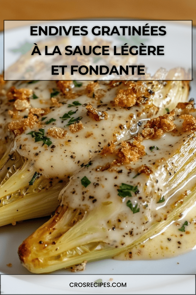 Plat d’endives gratinées nappées de sauce légère, dorées au four avec fromage râpé et chapelure, décorées de persil frais ciselé