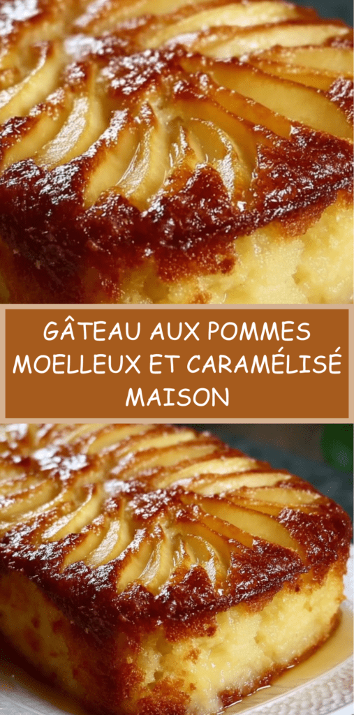 Gâteau aux pommes moelleux et doré, décoré de fines lamelles disposées en rosace, légèrement caramélisé sur le dessus, servi sur une assiette claire avec texture fondante visible à la découpe.