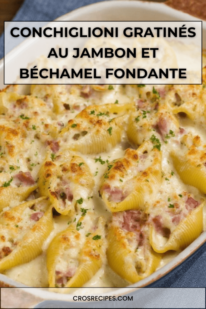 Conchiglioni farcis au jambon nappés de béchamel onctueuse et fromage gratiné, servis bien chauds dans un plat à gratin doré.