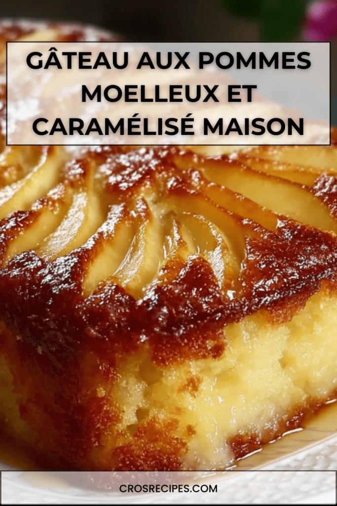 Gâteau aux pommes moelleux et doré, décoré de fines lamelles disposées en rosace, légèrement caramélisé sur le dessus, servi sur une assiette claire avec texture fondante visible à la découpe.