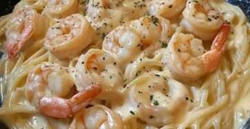 Assiette de pâtes crevettes Alfredo nappées d’une sauce crémeuse au parmesan, garnies de persil frais, servies chaudes dans une assiette blanche.