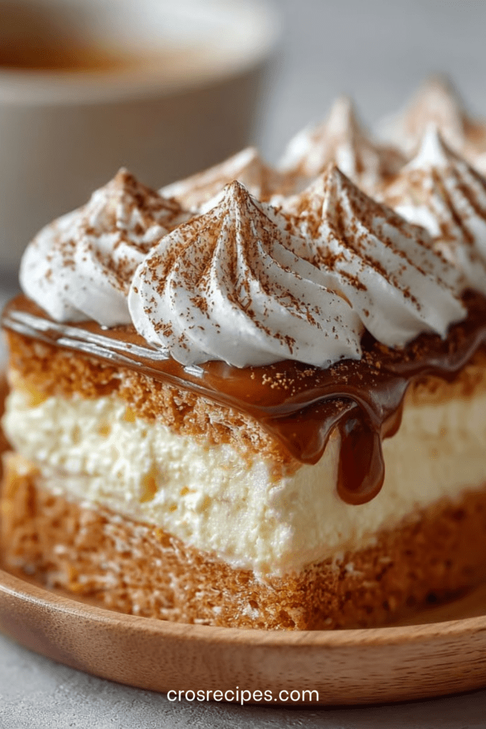 Gâteau petit beurre au café sans cuisson, composé de couches de biscuits imbibés et de crème mascarpone, avec un nappage chocolat ou cacao.