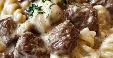 Assiette de pâtes rotini au bœuf enrobées d’une sauce crémeuse au parmesan avec morceaux de bœuf dorés, garnies de persil frais et servies chaudes.