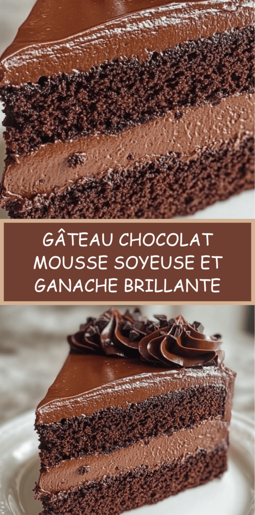 Gâteau au chocolat coupé en deux couches, garni d’une mousse aérienne, recouvert d’une ganache brillante et lisse, avec une texture fondante et intense.